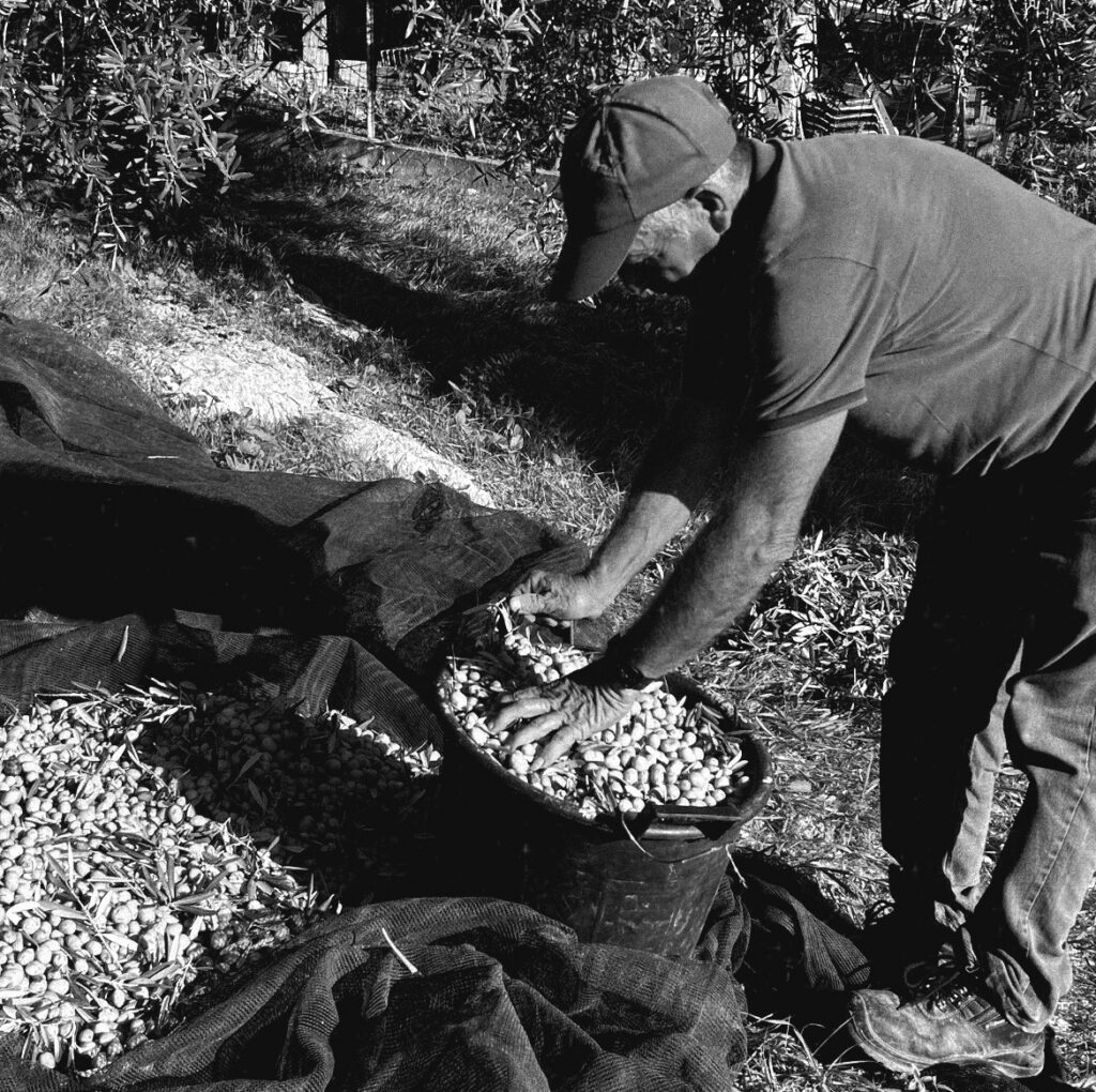 fa6ddc50 e8b8 4817 a034 3600f1dfd995