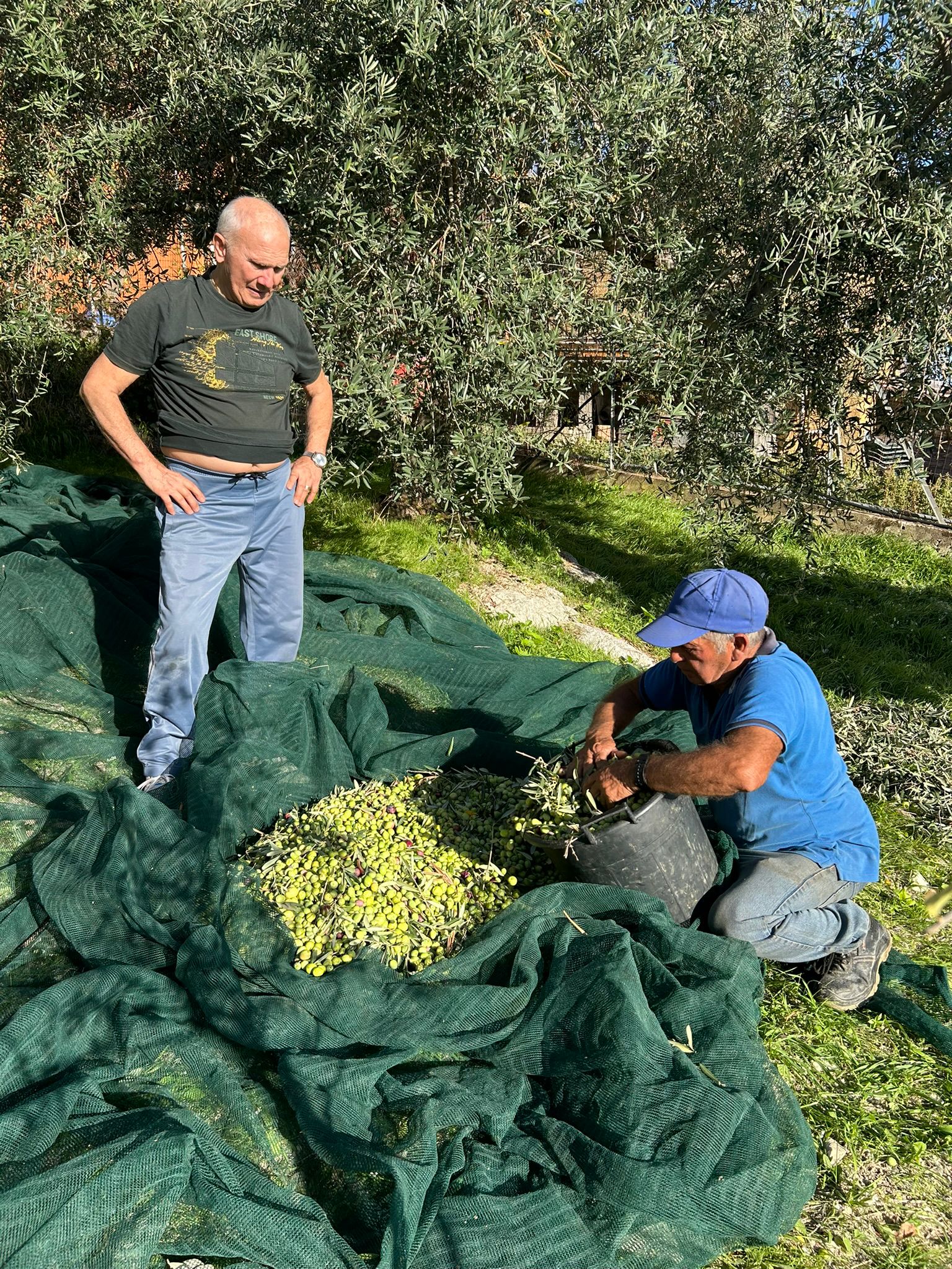 whatsapp image 2026 04 13 at 11.42.28 (2)