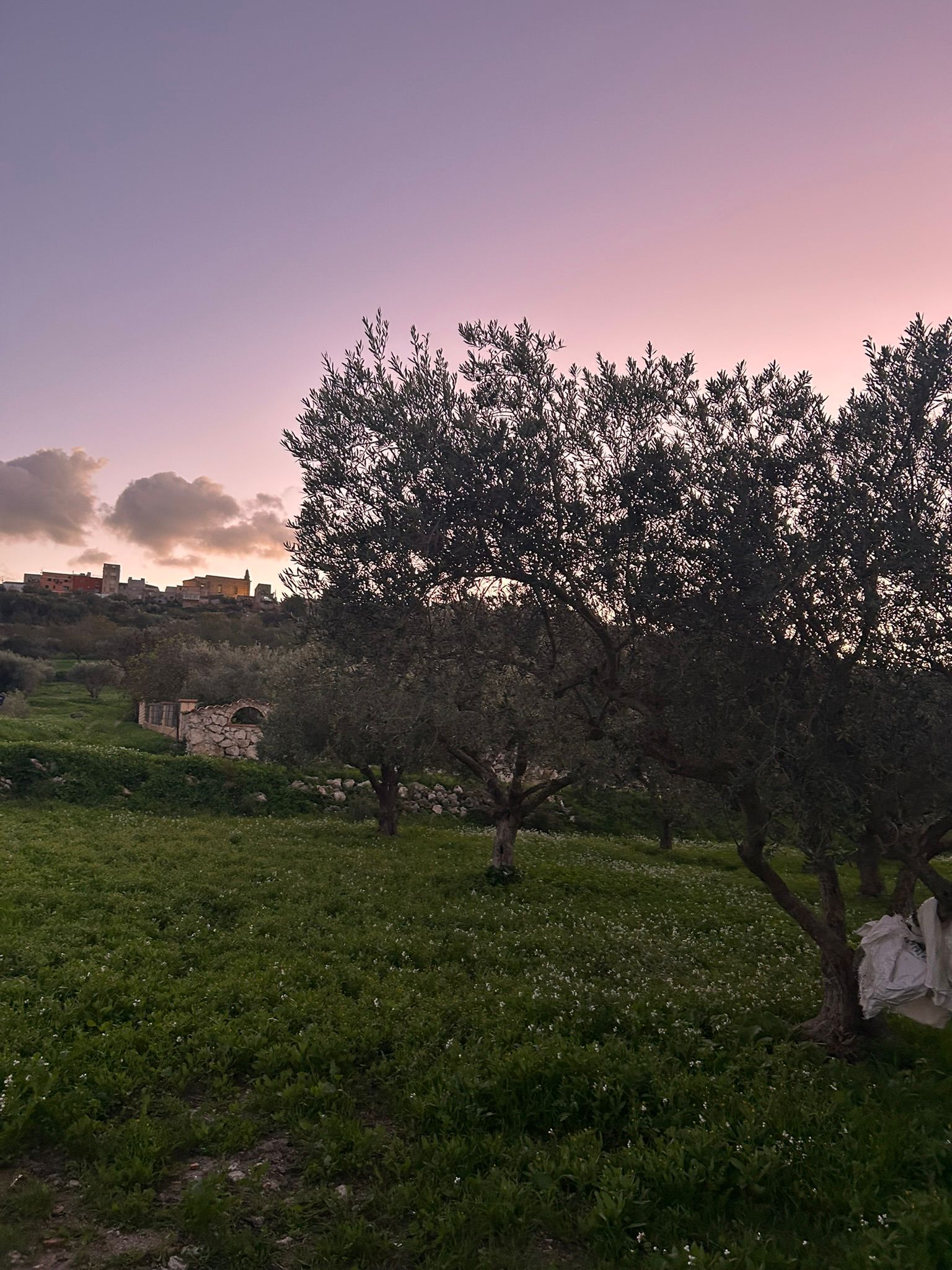 whatsapp image 2026 04 13 at 11.42.28